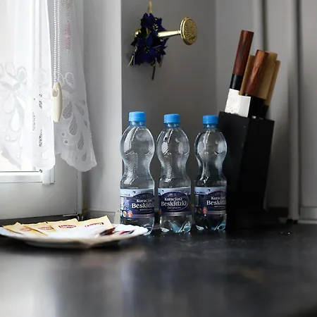 Apartment Szczepin Spacious Wroclaw