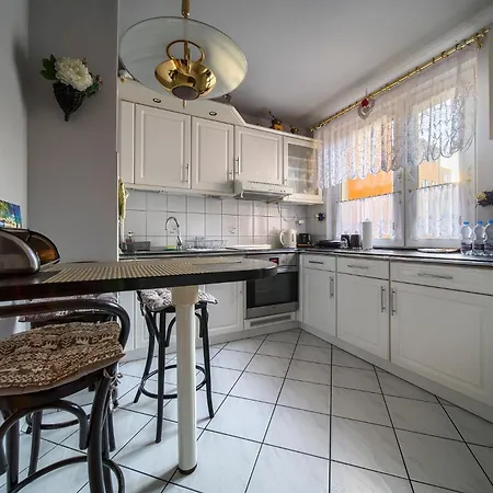 Apartment Szczepin Spacious *